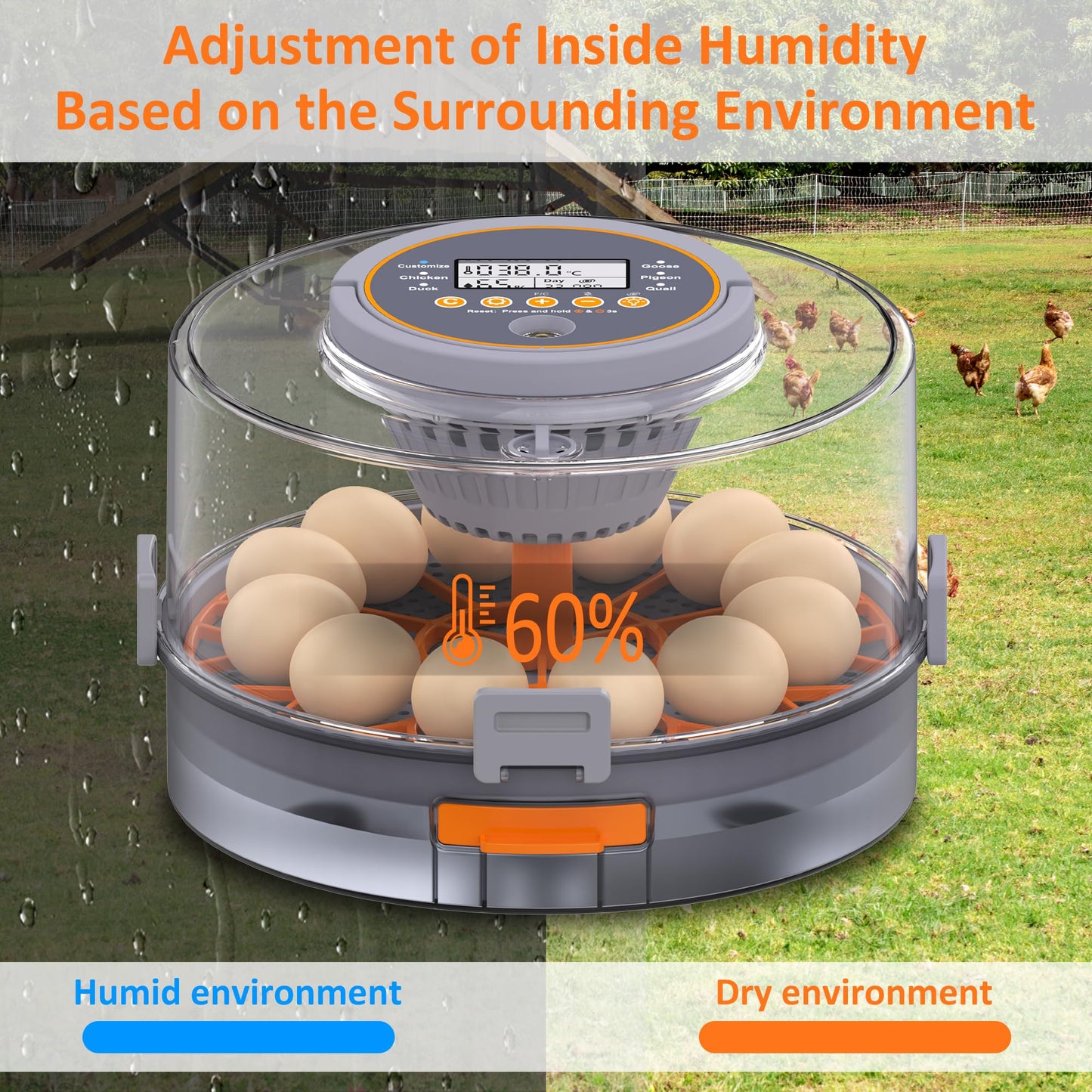 Egg Incubator with Automatic Egg Turning and Humidity Control, Intelligent Egg Incubator with Automatic Temp. Adjustment, 12 Egg Incubator