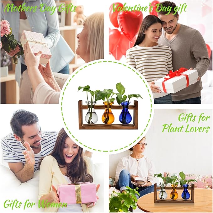 Plant Propagation Station Plant Terrarium Unique Birthday Gifts for Women Home Office Decor Planter with Wooden Stand - 3 Bulb Glass Vase