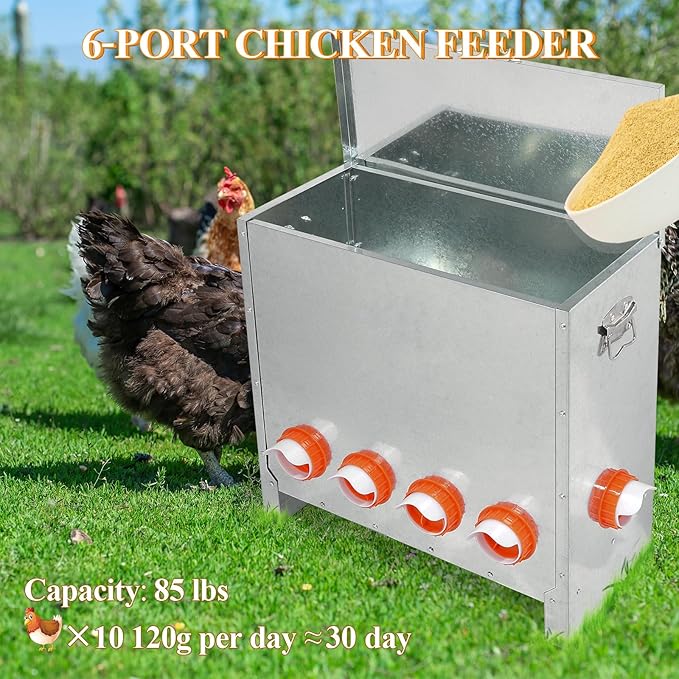 Automatic Chicken Feeder No Waste Large Capacity 85lbs 10-Ports Metal Poultry Feeder with Pull Handle for Chickens Geese Ducks Poultry Coop Weatherproof Design