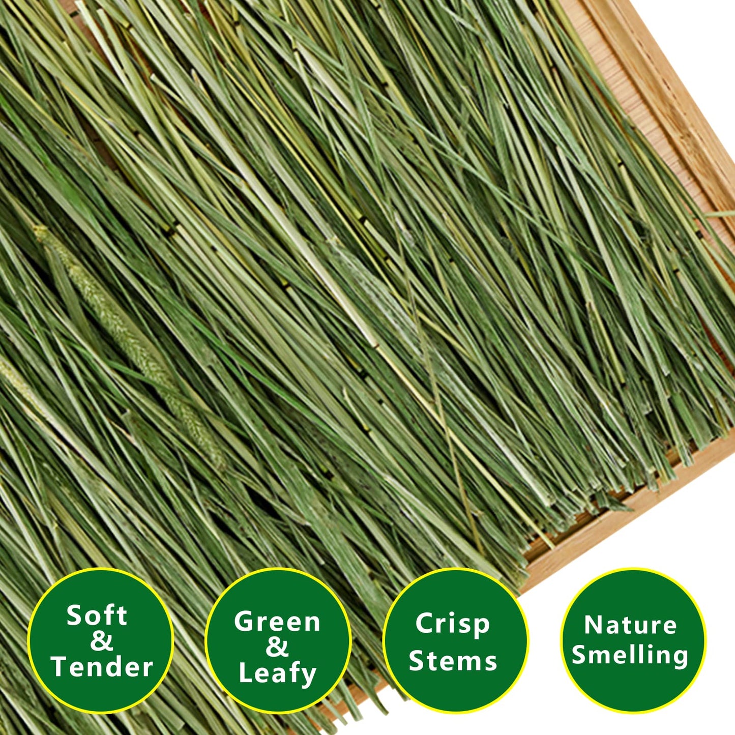 Ohcool Timothy Hay Premium Hay for Rabbits Guinea Pig Chinchilla- Natural Fresh Hay Hand Selected 6.6LBS (1.1lbs, 6 Pack)