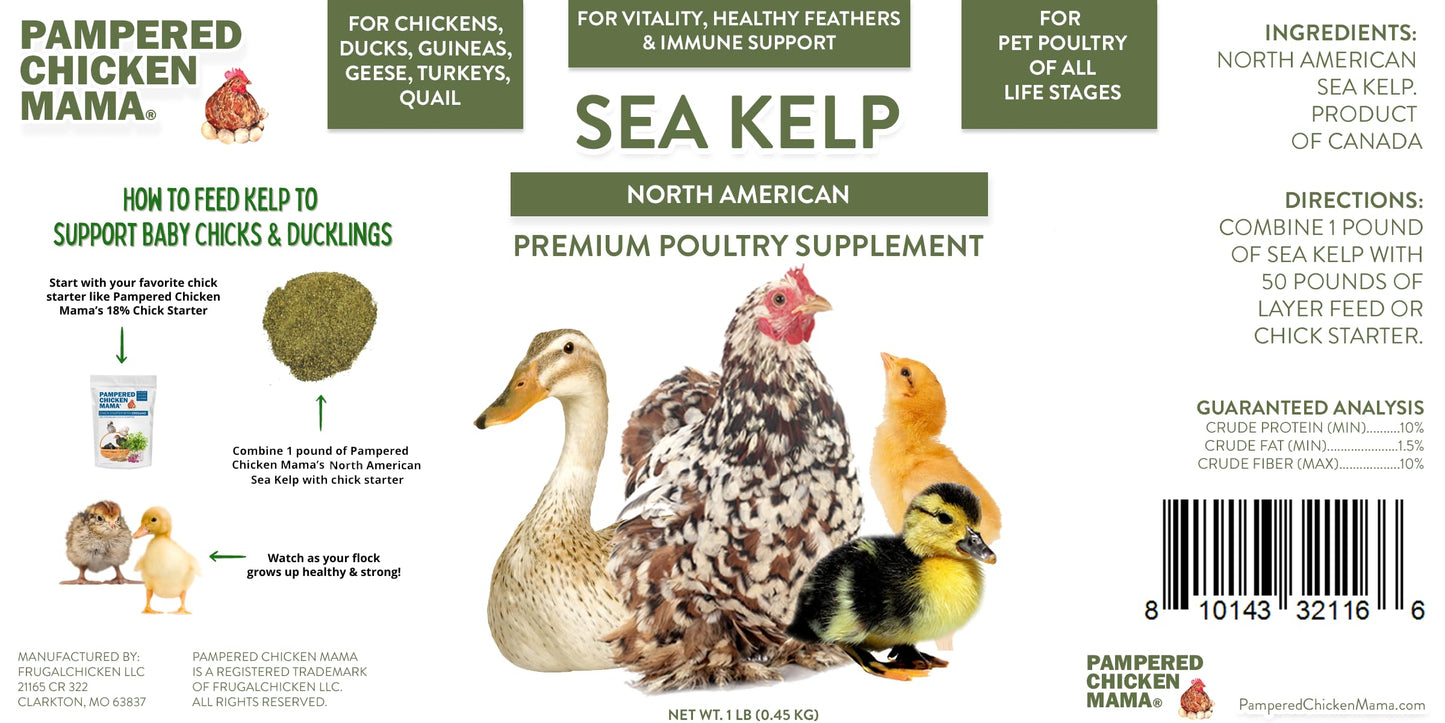 Kelp for Chickens & Duck Feed (1 Pound): Chicken Vitamins | Chicken Supplements | Vitamins for Chickens | Pampered Chicken Mama