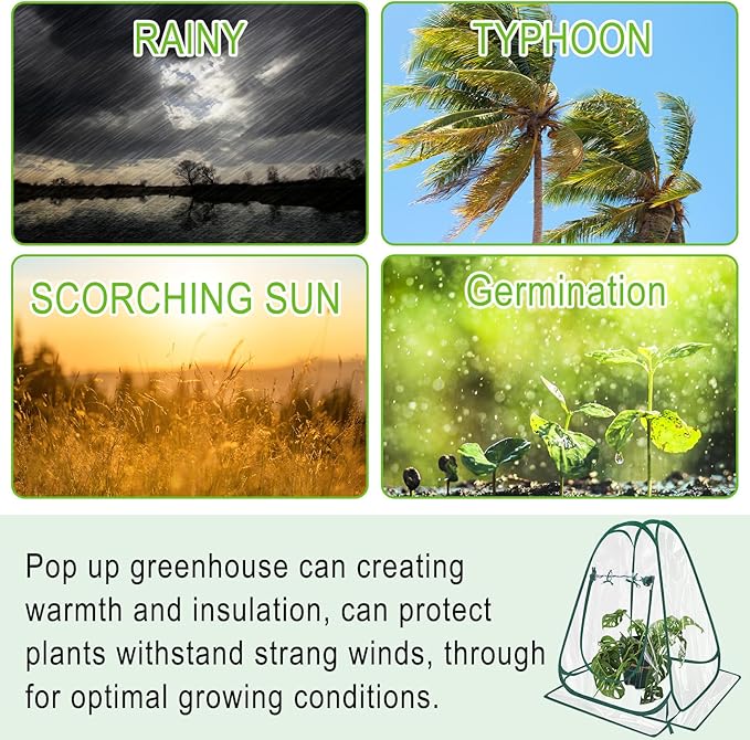 Suzile 4 Pcs Pop up Small Greenhouse Easy to Install Portable Winter Mini Greenhouse PVC Clear Flowerpot Cover Plant Grow Green House for Indoor Outdoor Gardening, 25.2 x 25.2 x 25.6 Inches