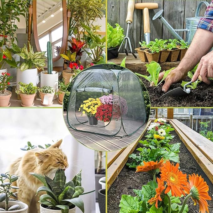 Plant Mini Greenhouse Pop Up Greenhouse Covers, Transparent Freeze Protection PVC Tent with Roll-up Zipper Entry Doors for Indoor and Outdoor Gardens Protecting Plant from Cold Frost (PVC, 39x39x39in)