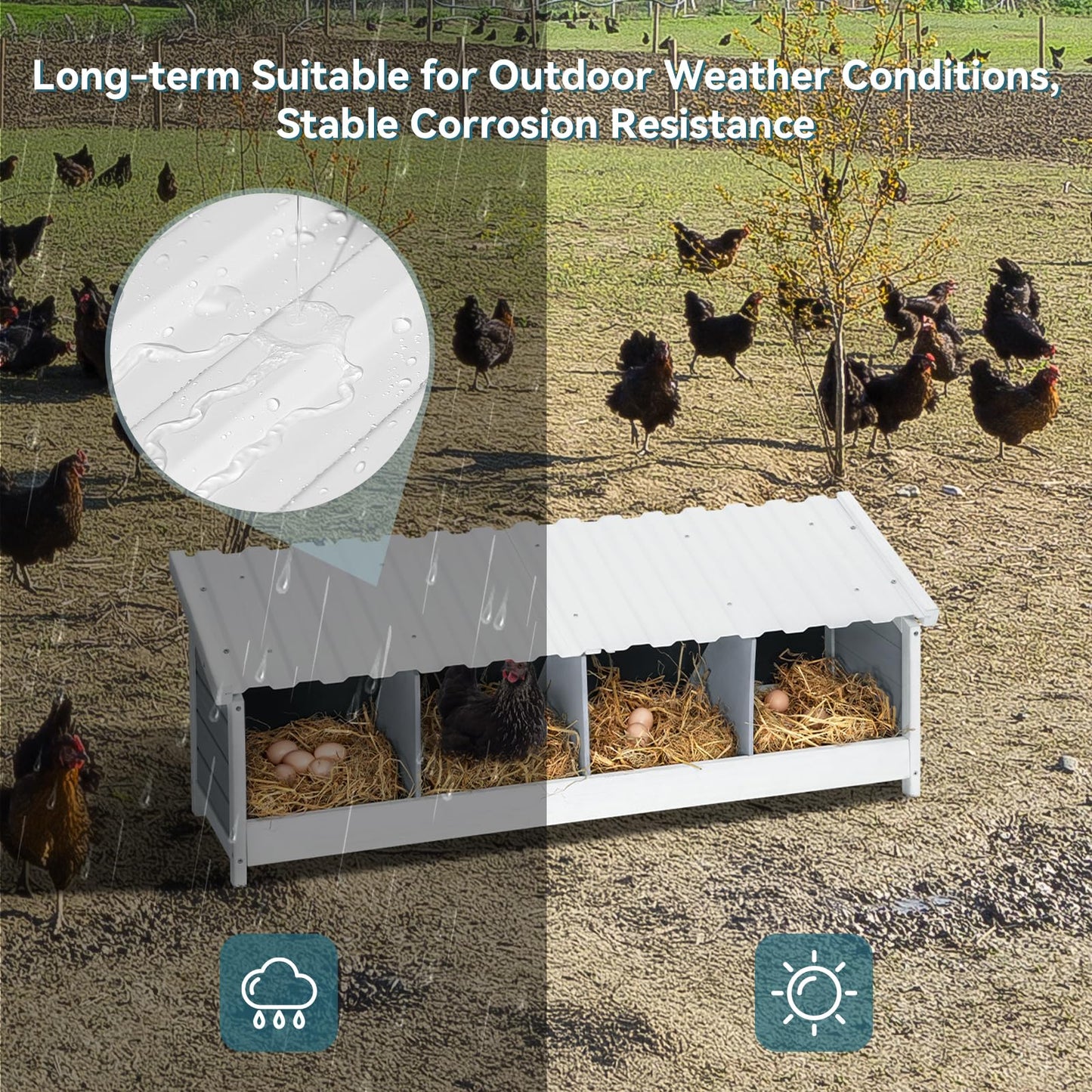 PETSFIT 4 Holes Chicken Nesting Box-All Weather PVC Roof and Chicken Perch
