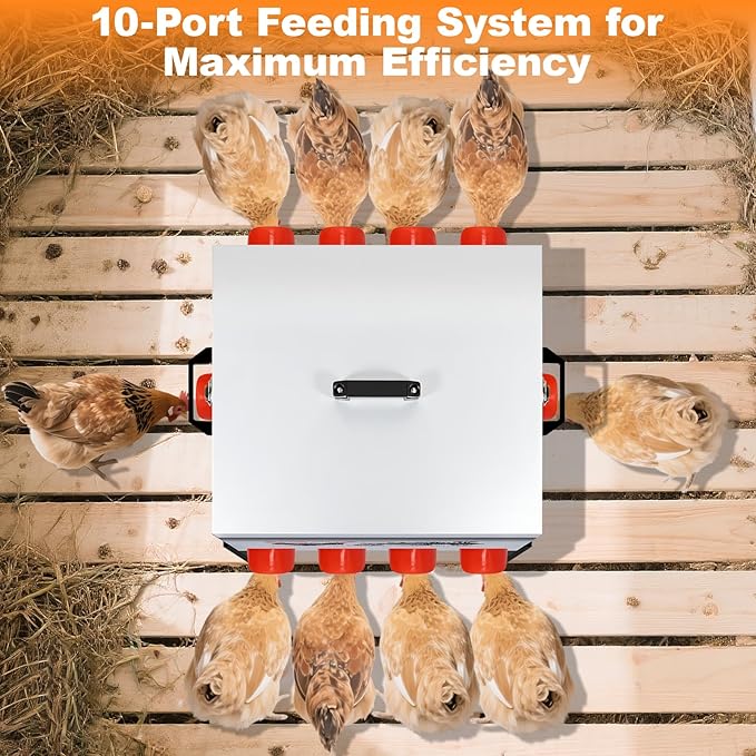 100LB Large Automatic Chicken Feeder–10 Feeding Ports No-Waste Galvanized Metal Chicken Feeder Box with Adjustable Legs & Locking Lid Poultry Feeder for Chickens,Ducks,Geese,Rust-Resistant