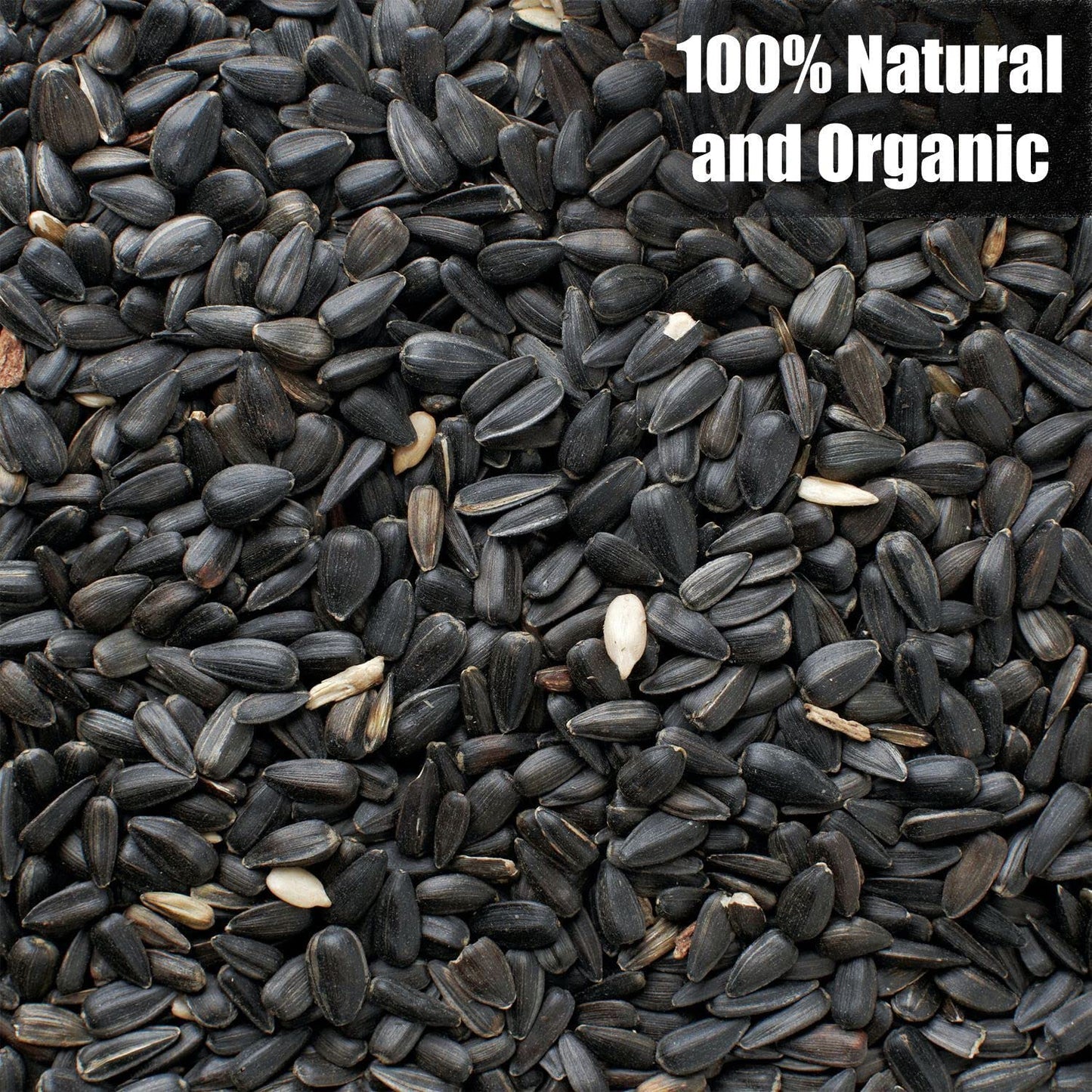 Old Potters Wildlife Black Oil Sunflower Seeds for Birds and Wildlife, Non-GMO & USA Grown on Small Farms (12 lbs)