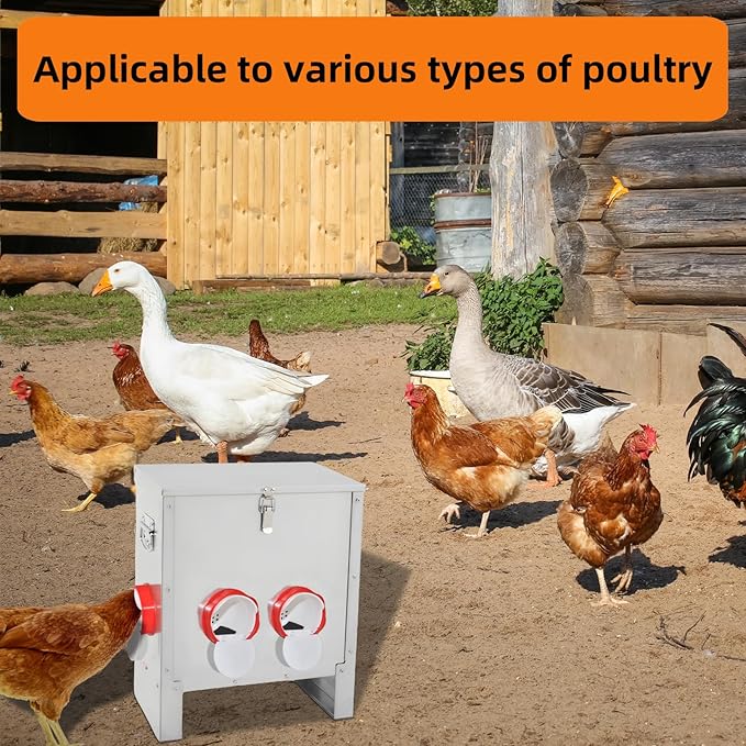 Automatic Poultry Chicken Feeder No Waste Metal Large Capacity 30 lbs Feeders for Chickens Ducks, Geese Bantams Pheasants Coop Weatherproof (4-Port)