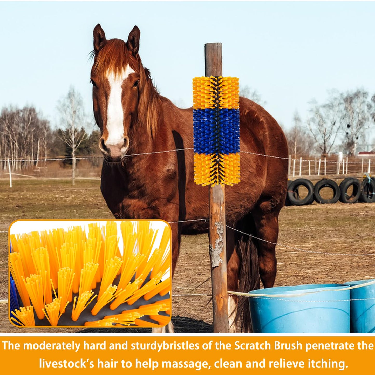 Livestock Scratch Brushes, Cow Brush, Cow Scratcher Full Massage Brushs Kit, Horse Brushes for Grooming, Goat Brush Relieve Itching on the Back of Livestock for Horse Cow Goat Cattle Pig Sheep