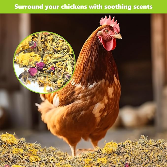 20 Oz Chicken Nesting Herbs Vacuum-Packed (1.25lb) - Natural 7 Dried Herbs for Chicken Coop Freshness, Promote Egg Laying, Hen Treats for Coops - Nesting Box Herbs for Chicken Coop