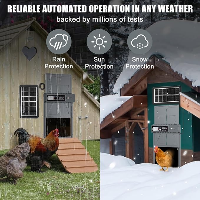 Automatic Chicken Coop Door Solar Powered with Timer, Remote Control, Anti-Pitch Aluminum Alloy Auto House Door for Chicken, Duck, Poultry, Weatherproof