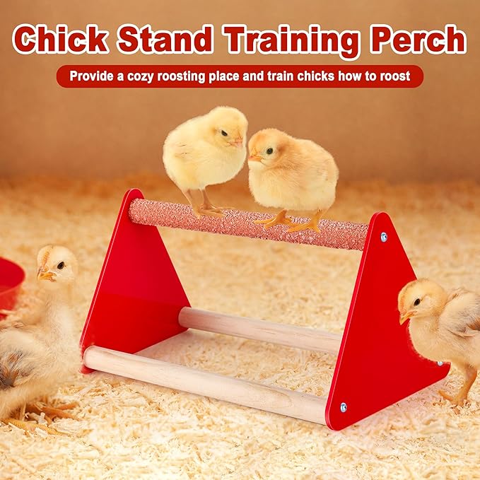 Chick Brooder Box Starter Kit, Plastic Baby Chicken Feeder and Waterer Set with Chick Perch
