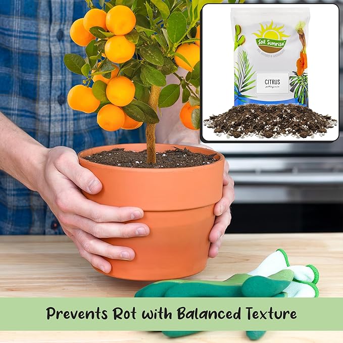 Citrus Tree Potting Soil Mix (30 Quarts), Special Blend for Indoor Oranges, Lemons, Limes and More