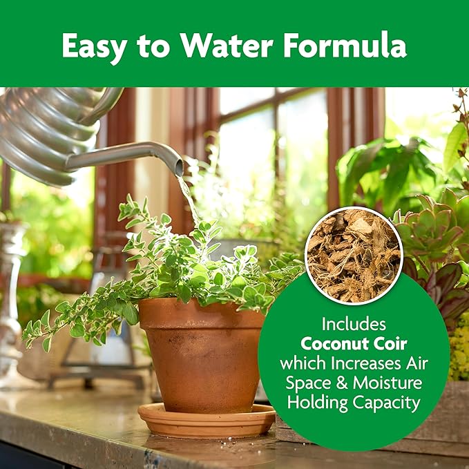 Miracle-Gro Indoor Potting Mix, Blended for a Variety of Houseplants, Feeds for up to 6 Months, 6 qt., 2-Pack