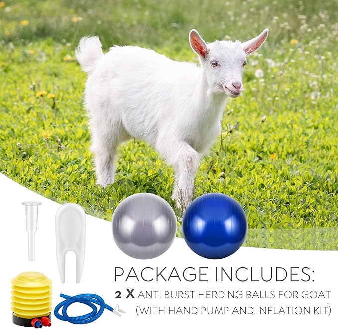 Sotiff 2 Pcs Herding Goat Ball Large PVC Exercise Training Ball with Inflator Pump for Dogs, Goats, Horses Outdoor Entertainment