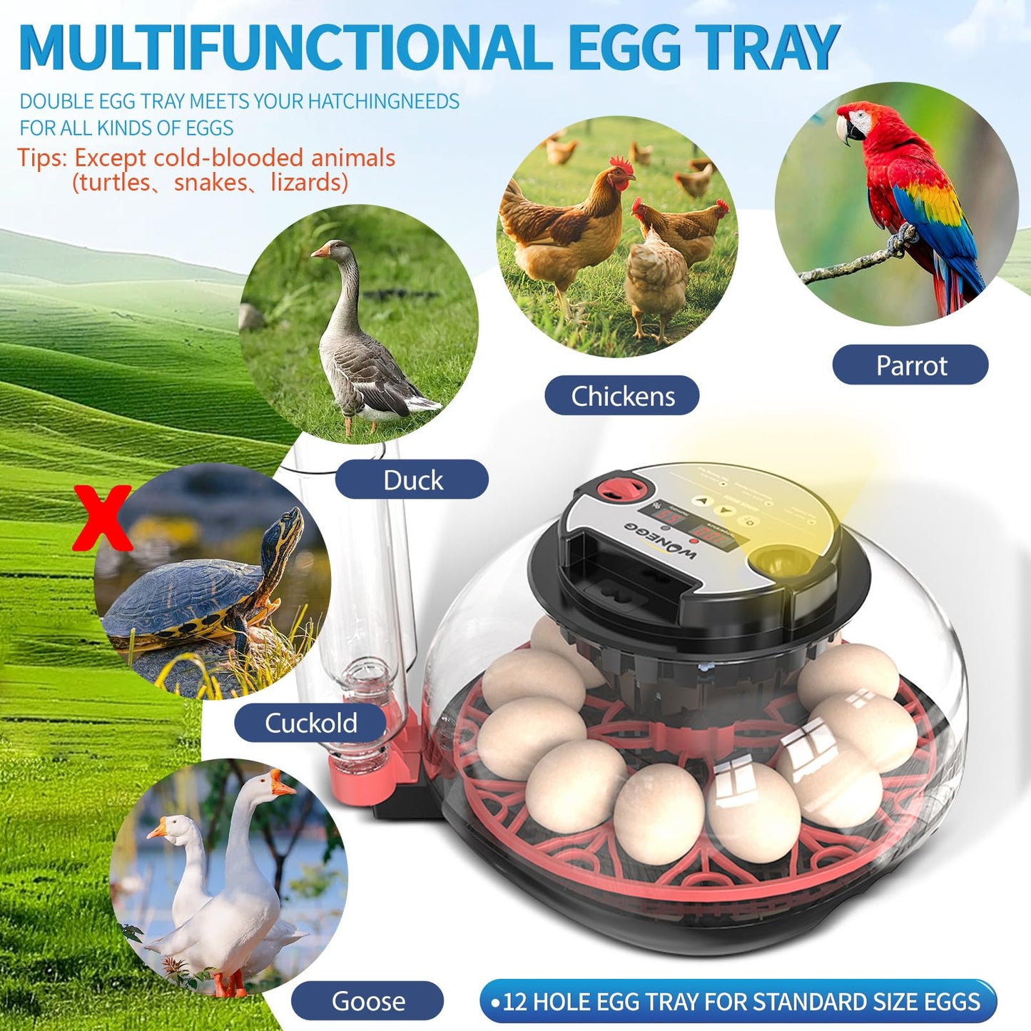 ZPZ 12 Egg Incubators for Hatching Eggs, Auto Turning, Humidity & Temperature Display, LED Egg Candler, 360°View, Incubators for Chicken Duck Quail Eggs, Energy-Efficient for Home/Farm/Classroom