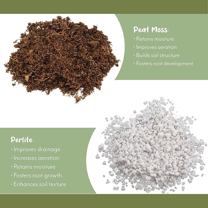 Palm Tree Potting Soil (8 Quarts), All Purpose Mix for Growing Indoor Palm Plants
