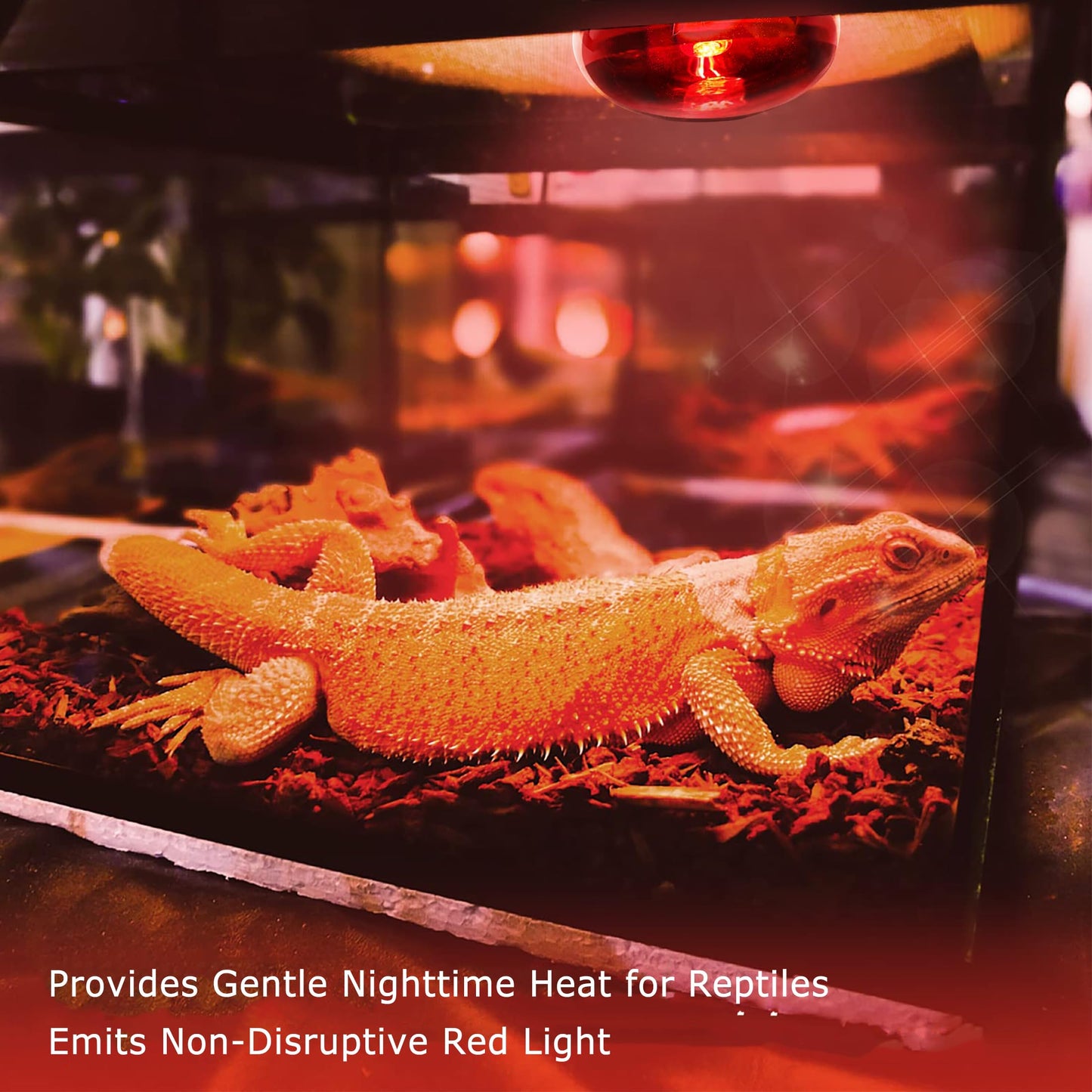 HARTOMPET 60W Infrared Red Heat Lamp for Reptiles, Basking Spot Bulb for Pet Lizards, Bearded Dragons, Chameleons & Snakes, Red Heat Emitter Light for Chickens Coop and Brooder Use, E26|2 Pack
