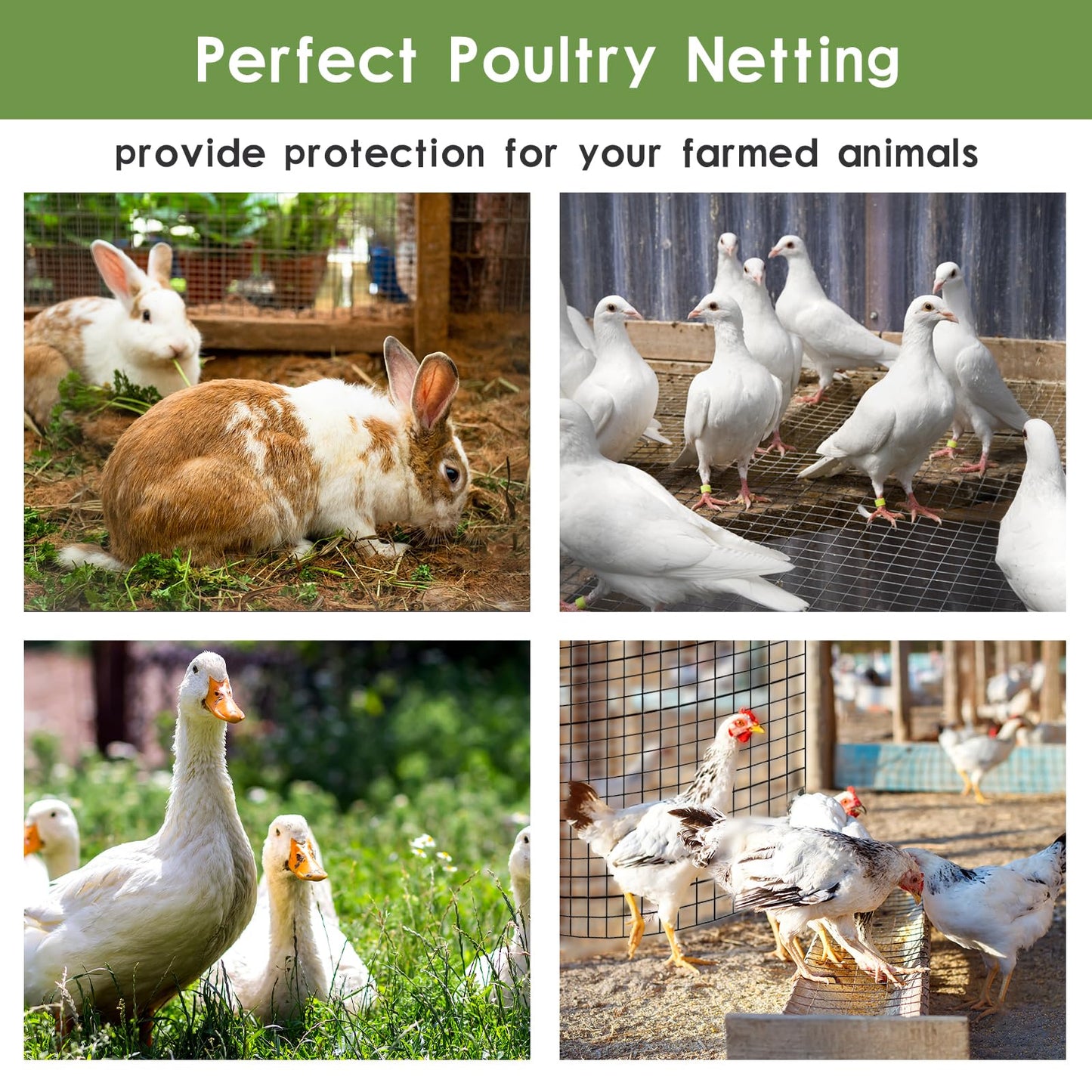 Tongmo 48" x 100' Black Hardware Cloth, 1inch Mesh Chicken Wire Fence, 19 Gauge Vinyl Coated Wire and Welded Wire Roll,Garden Fence, Poultry Netting for Rabbit/Duck/Chicken Coop