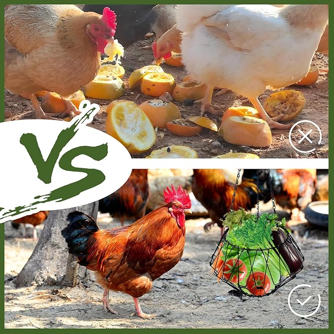 Hanging Chicken Feeder Accessories, Coop Must Haves -Foldable 6.5Inch Large Poultry Vegetable Fruits Chicken Treat Dispenser with 3pcs Hanging Chain,Chicken Toys for coop (Chicken Feeder 1 Pack)