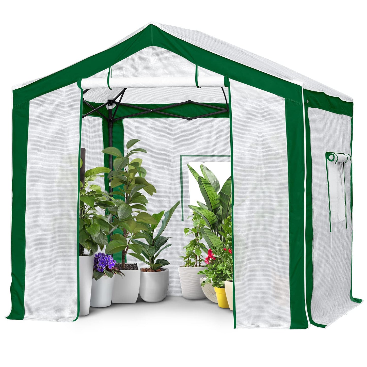 EAGLE PEAK 8x8 Portable Walk in Greenhouse with Polyester Reinforced Corners, Heavy Duty Instant Pop Up Indoor Outdoor Green House, Front Roll Up Zipper Entry Door and Mesh Windows, Green/White