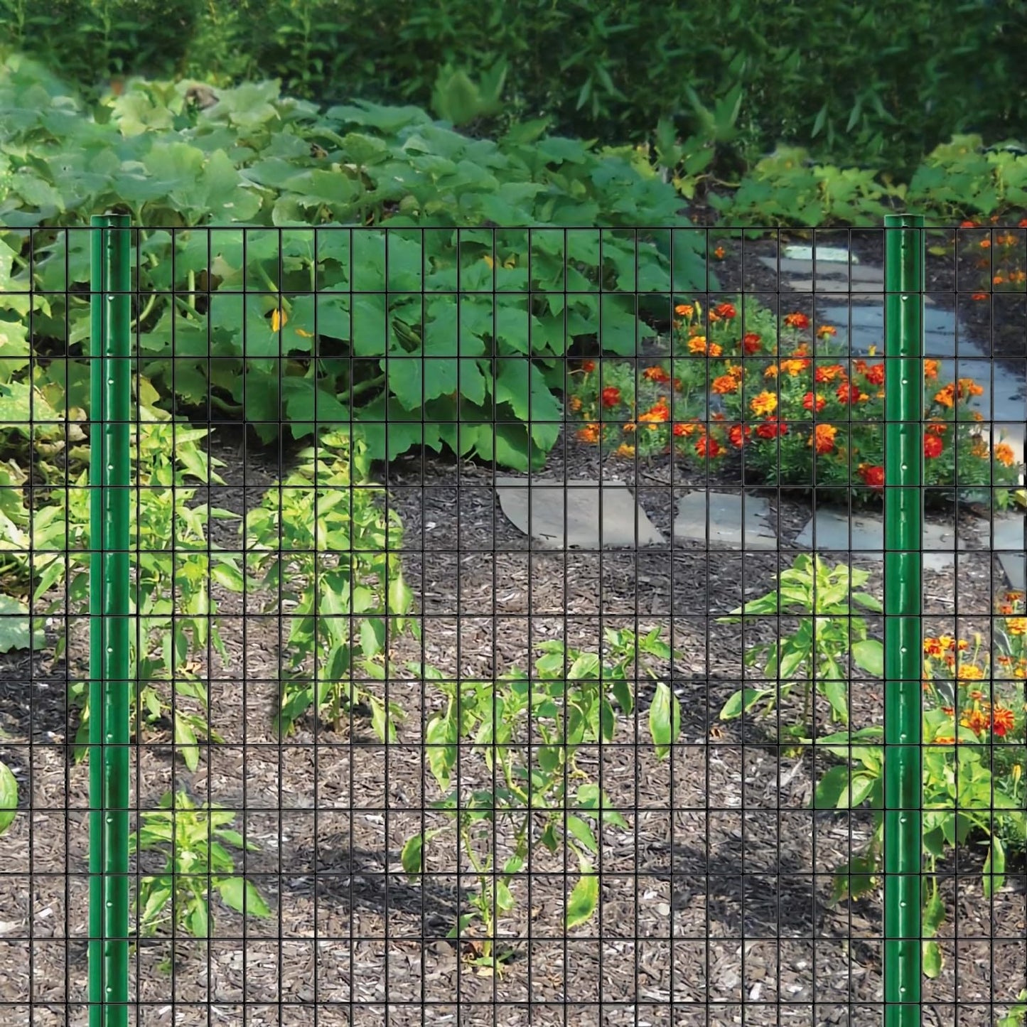 SOTTORICH Wire Fence 24in x 50ft, 2X 3 16GA, Black PVC Coated Garden Fence for Yard Garden Border Fencing Roll Vinyl Coating Metal Wire Mesh for Yard Vegetable Plant Protection Poultry Netting