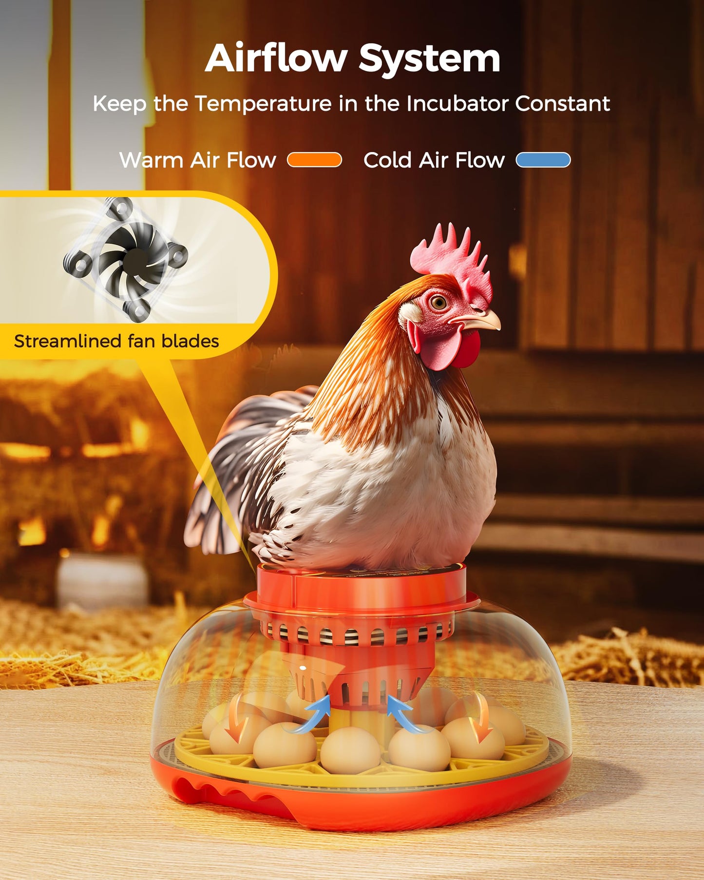 Incubator for Hatching Eggs,Automatic Turning,Temperature and Humidity Control Display,360° Viewing for Chicken, Duck, Quail Eggs, Ideal for Farm, Classroom, Home Use,2025 Upgraded 12 Egg Incubators