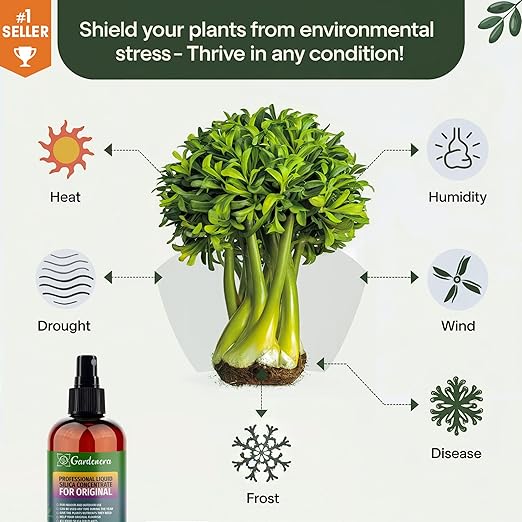 𝐏𝐑𝐎𝐅𝐄𝐒𝐒𝐈𝐎𝐍𝐀𝐋 Liquid Silica Plant Supplement - 32oz - Citrus Trees Liquid Silica Boost Fertilizer - Stronger Stems & Healthy Leaves for Indoor & Outdoor Citrus Plants (Makes 180 Gallons)