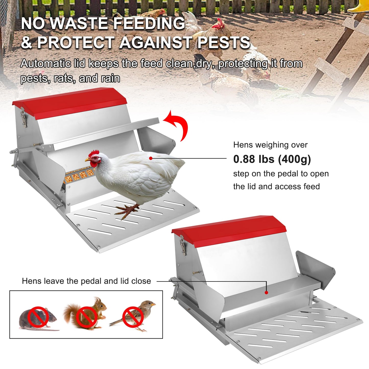 Large Automatic Chicken Feeder-25lb Metal Treadle Chicken Feeder No Waste, Rat Proof Poultry Feeder with Sturdy Galvanized Steel Build & Weatherproof Locking Lid for Duck, Fowl, Pheasants Outdoor Use