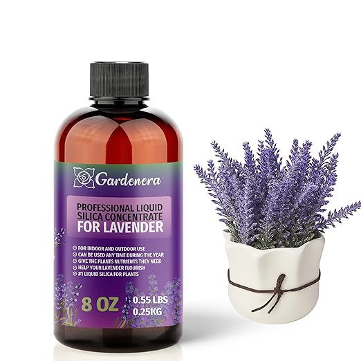 𝐏𝐑𝐄𝐌𝐈𝐔𝐌 Liquid Silica Plant Supplement - 8oz (250mL) - Lavender Plants Liquid Silica Boost Fertilizer - Stronger Stems & Healthy Leaves for Indoor & Outdoor Lavender Plants (Makes 45 Gallons)