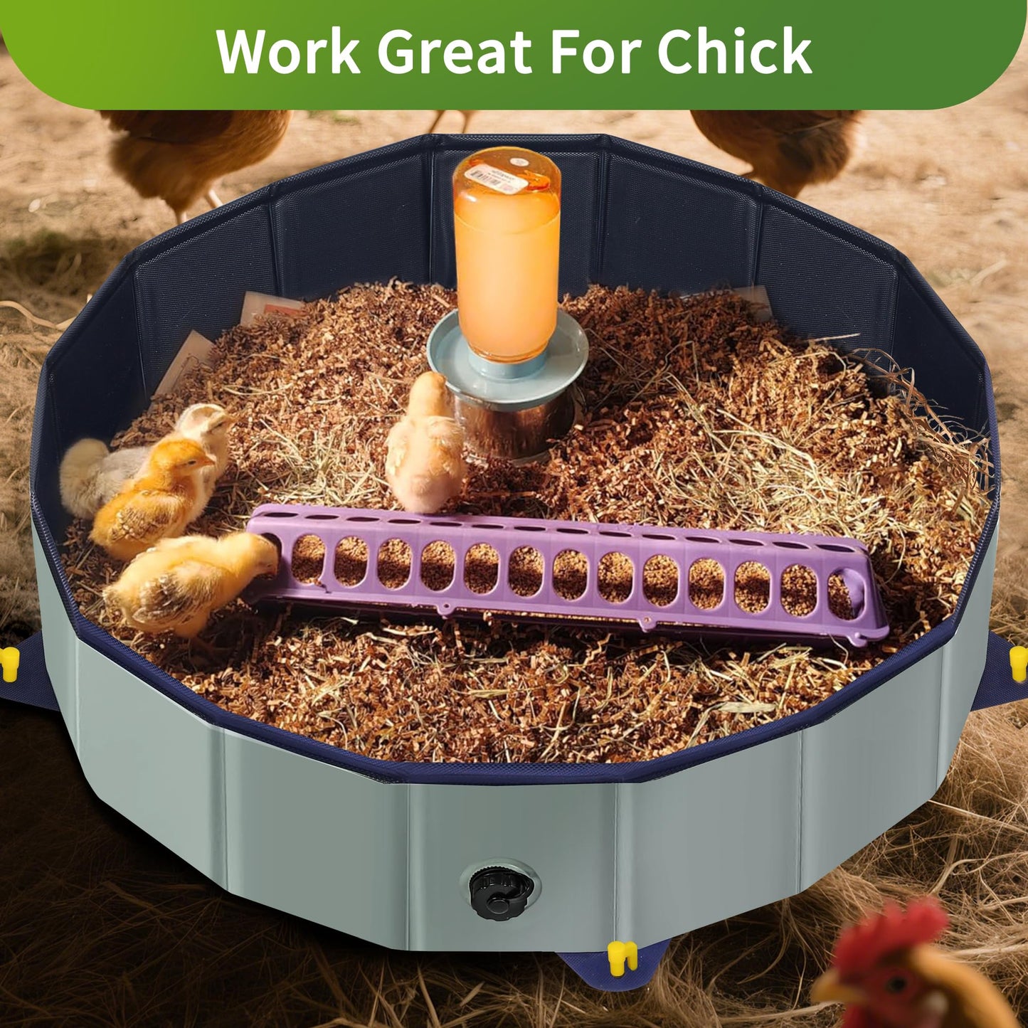 Chicken Dust Bath Tub - 32"D & 8"H Foldable Chicken Coop Accessories to Mix Sand Chilli DE Or Lime Dust in Chicken House, Keep Poultry Hens, Rooster, Button Quail Healthy & Clean, Double as Duck Pool