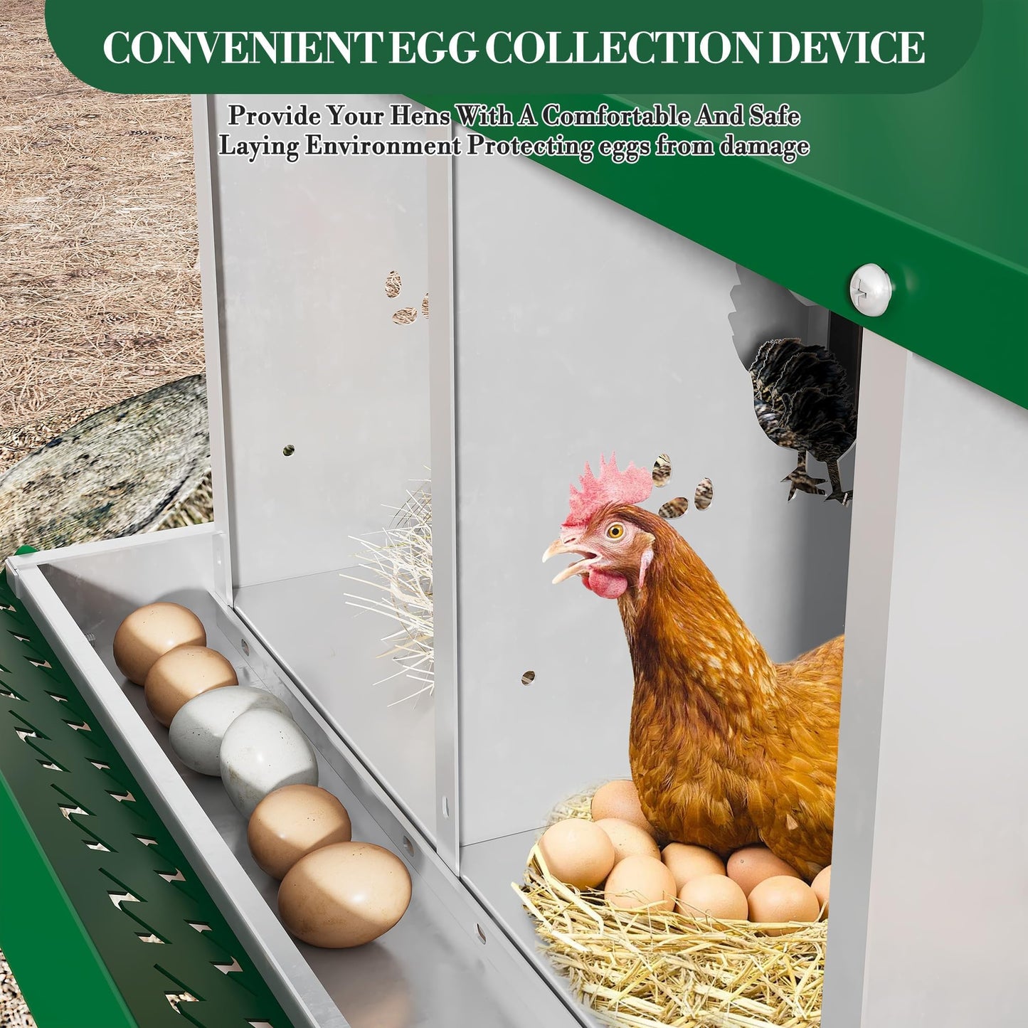 Chicken Nesting Box,6 Holes with Legs Roll Away Nesting Box for Laying Eggs, Wall Mount Chicken Nesting Boxes with Roll Out Egg Collection with Vented Holes for Hens, Green