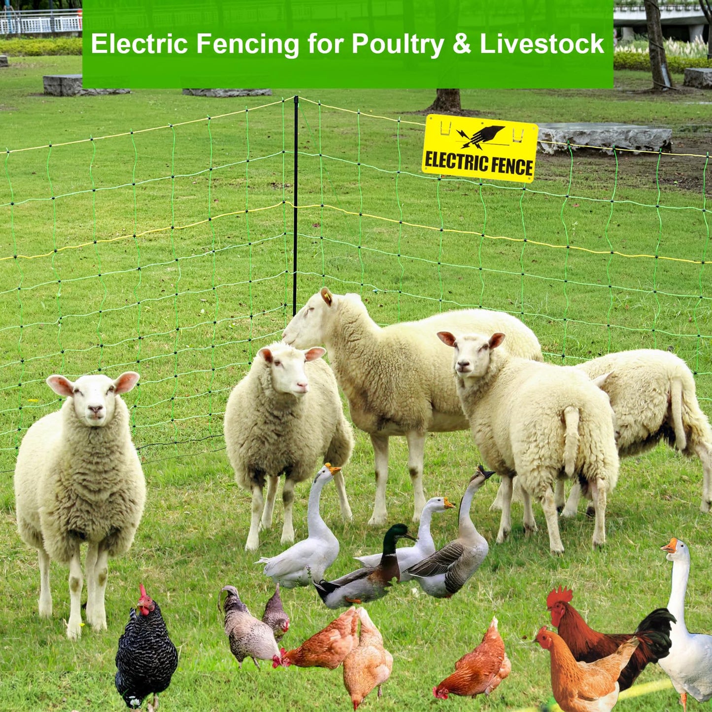 Electric Poultry Netting Fence, Portable Electric Fence for Poultry and Livestock Chicken Sheep Lambs Hogs Deer Dogs in Backyards Farms Ranches Homesteads and Gardens (49.6"x 164')