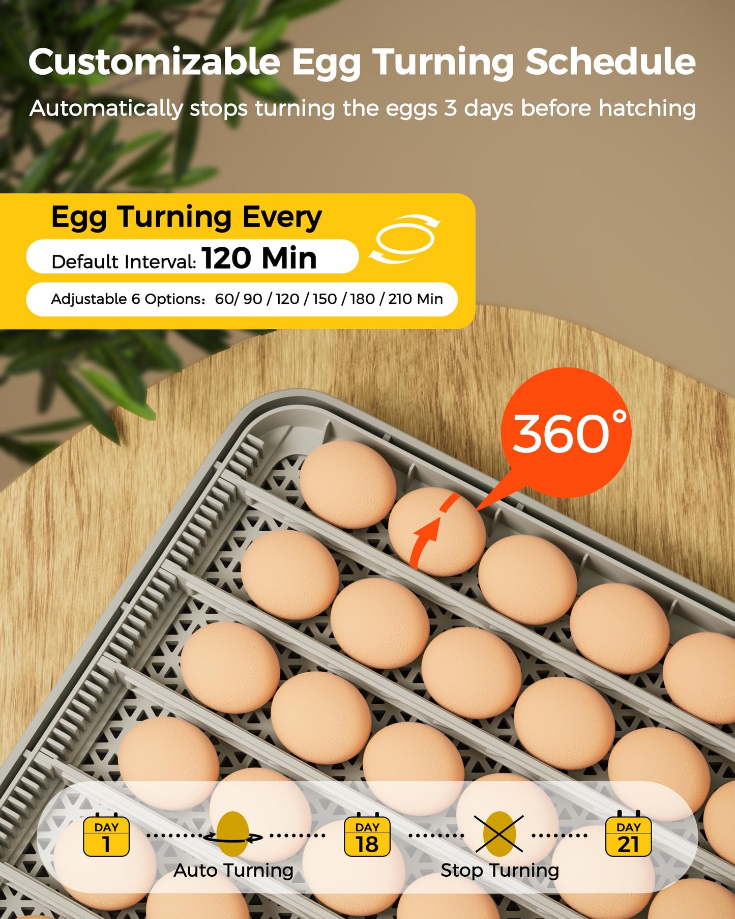 Besly 48 Egg Incubator for Hatching with Automatic Egg Turning and Humidity Control, Egg Candler, Poultry Egg Incubator for Chicken, Ducks, Goose, Pigeon, Quail, ideal for Farm, Classroom, Home