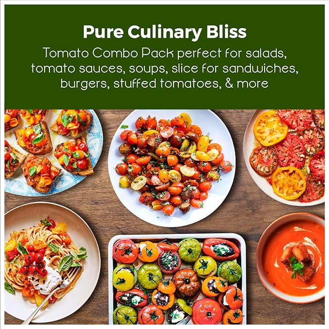 Bmore Spicy Giant Tomato Seed Combo Pack – Over 600 Heirloom & Rare Seeds – Black from Tula, Brandywine, Beefsteak, Cherry, Paste & More – Indeterminate & Diverse Garden Collection