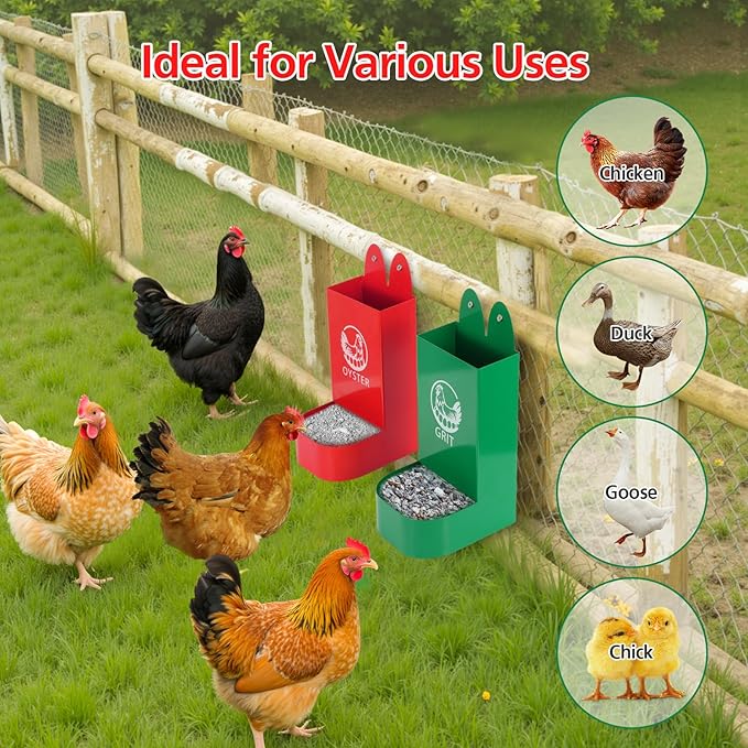 Chicken Grit and Oyster Shell Feeder for Hens – US Patent Pending – Heavy-Duty Metal Chicken Feeder with Rounded Edges – Chicken Coop Accessories Improve Eggshell Quality and Hen Health