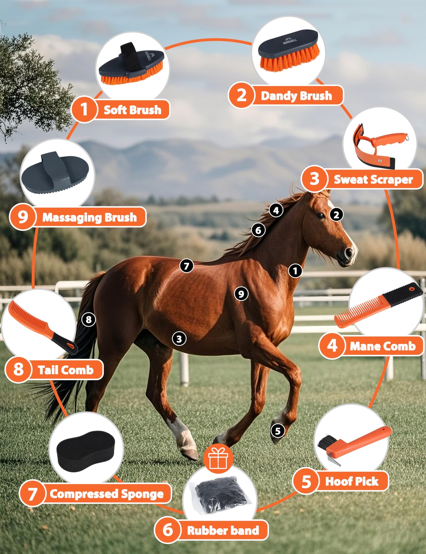 Shinewell Horse Grooming Brushes Kit 9 pieces with Organizer Bag Grooming Care Series Horse Brush Sets Orange