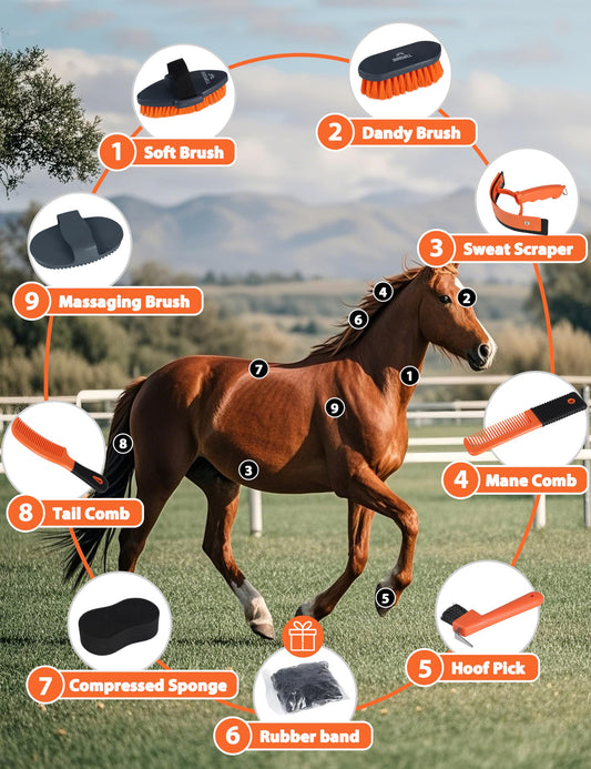Shinewell Horse Grooming Brushes Kit 9 pieces with Organizer Bag Grooming Care Series Horse Brush Sets Orange