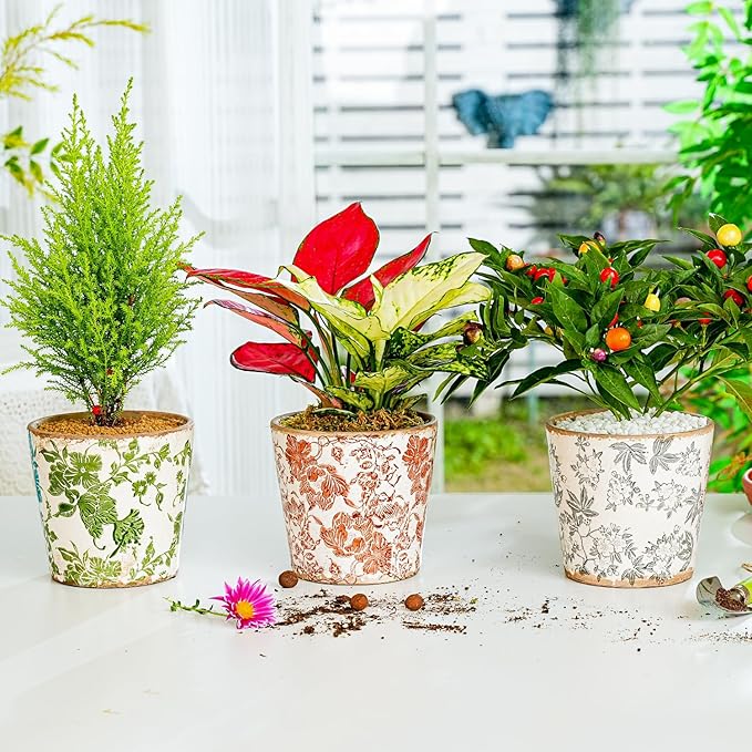 Sungmor Vintage Ceramic Plant Pots, Set of 3 Pretty Ice Cracked Glaze Ceramic Flower Pots, 5.5in. Herb Planters with Drainage Hole, Tuscan Planters for Indoor Outdoor Plants, Home Garden Decor Pot