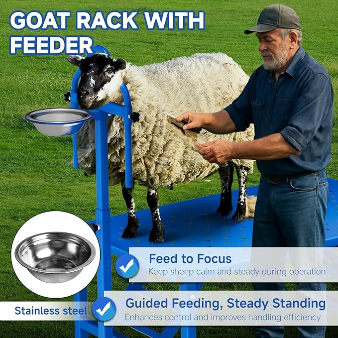 Professional Goat Milking and Trimming Stand with Ramp, Sheep and Goat Grooming Platform, Livestock Care Equipment (Blue with Ramp)