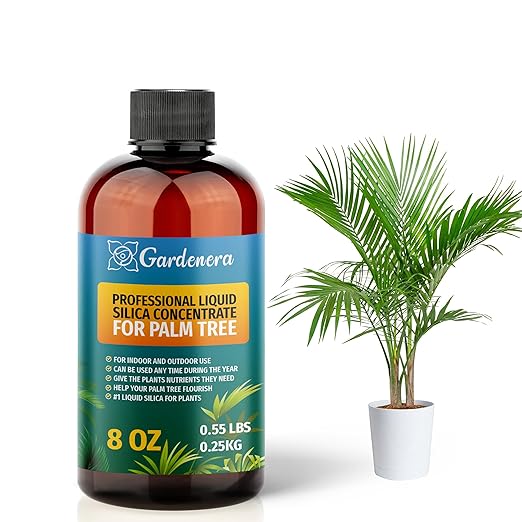 𝐏𝐑𝐄𝐌𝐈𝐔𝐌 Liquid Silica Plant Supplement - 8oz (250mL) - PALM TREE Plants Liquid Silica Boost Fertilizer - Stronger Stems & Healthy Leaves for Indoor & Outdoor Palm Tree Plants (Makes 45 Gallons)