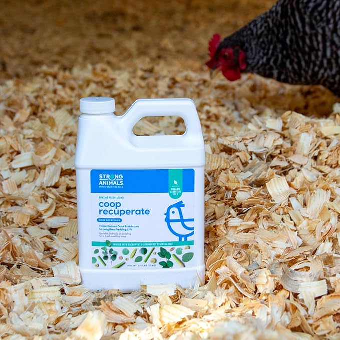 Coop Recuperate Eucalyptus & Lemongrass - Chicken Coop Refresher Containing Organic Eucalyptus & Lemongrass Essential Oils (2.5 lb jug, 2 Pack)