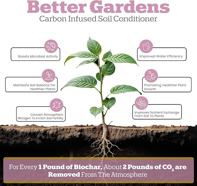 Wakefield Biochar Potting Mix & Indoor Plant Soil - 2 Quart