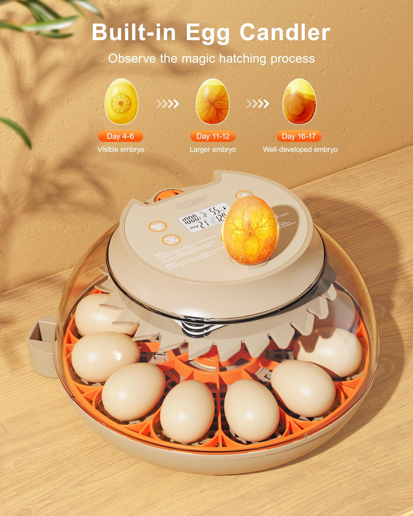 Innsky Incubators for Hatching Eggs,12 Egg Incubator with Automatic Egg Turning and Humidity Control, Chicken Egg Incubator with Temperature Control, Egg Candler