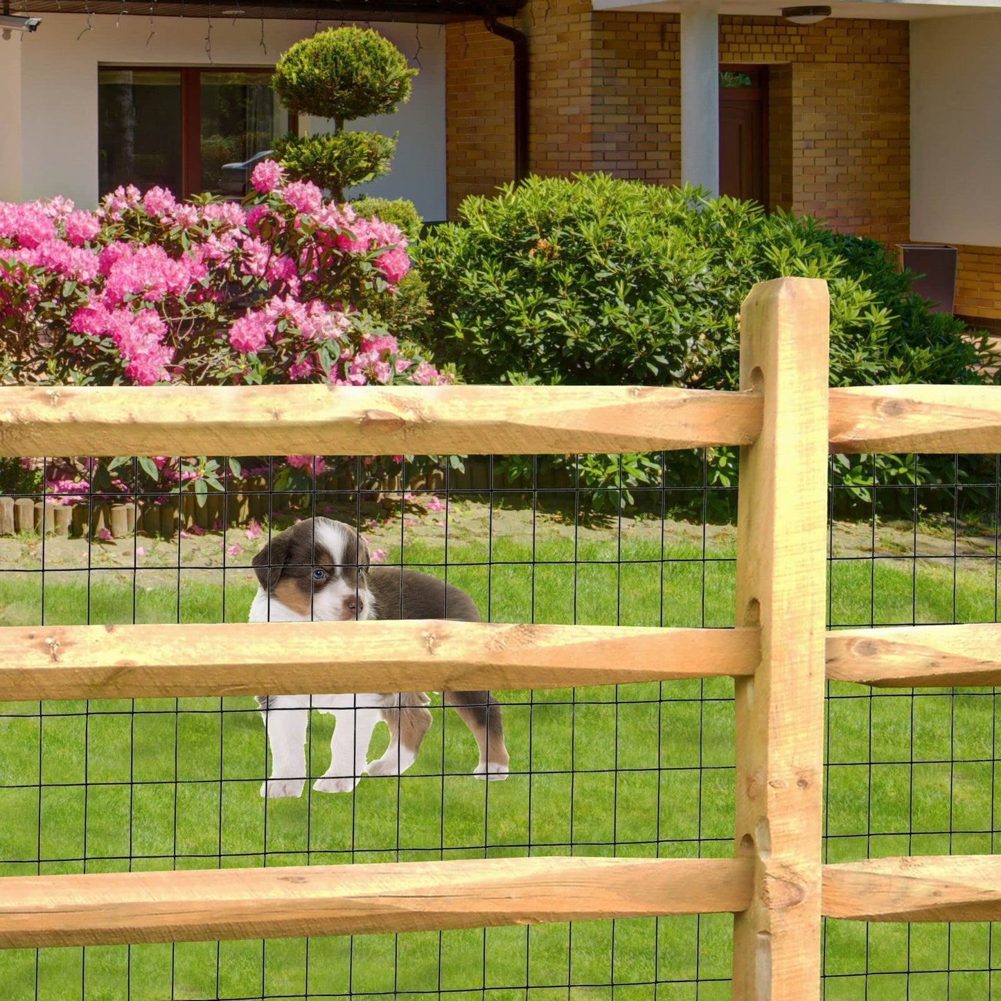 FOREHOGAR Black PVC Coated Welded Wire Fence 36 Inch x 25 Foot, 2 Inch x 3 Inch 16GA, Garden Border Fencing Roll Vinyl Coating Metal Wire Mesh for Yard Vegetable Plant Protection Poultry Netting