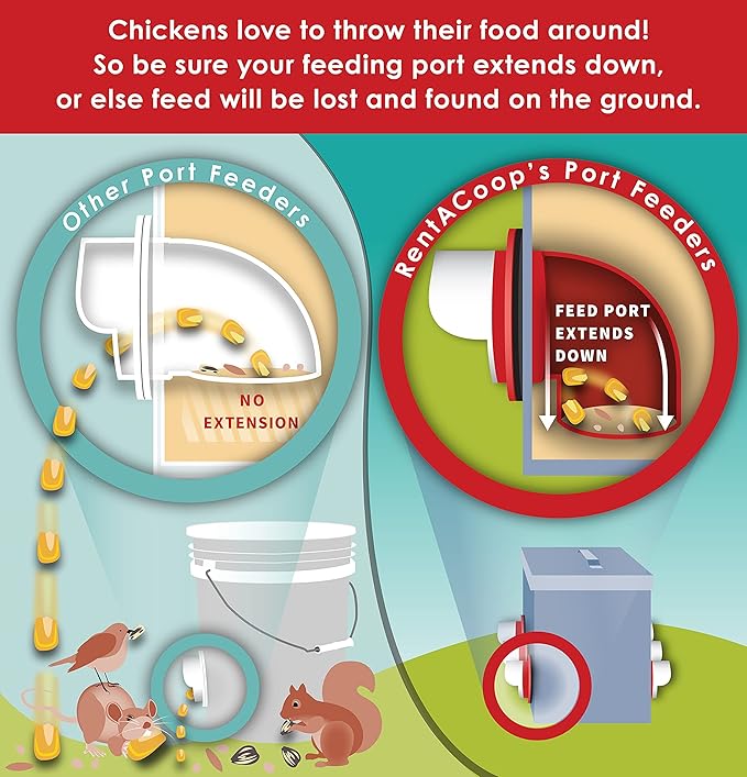 RentACoop Twin Cup Chicken Waterer and Feeder Set - 10lbs/2 Gal