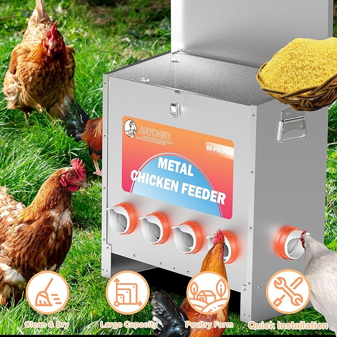 85 Pounds Automatic Chicken Feeder 6 Ports Large Gravity Fed Chicken Feeder with Latch & Handle for Chickens Bantams Pheasants Poultry Coop Weatherproof