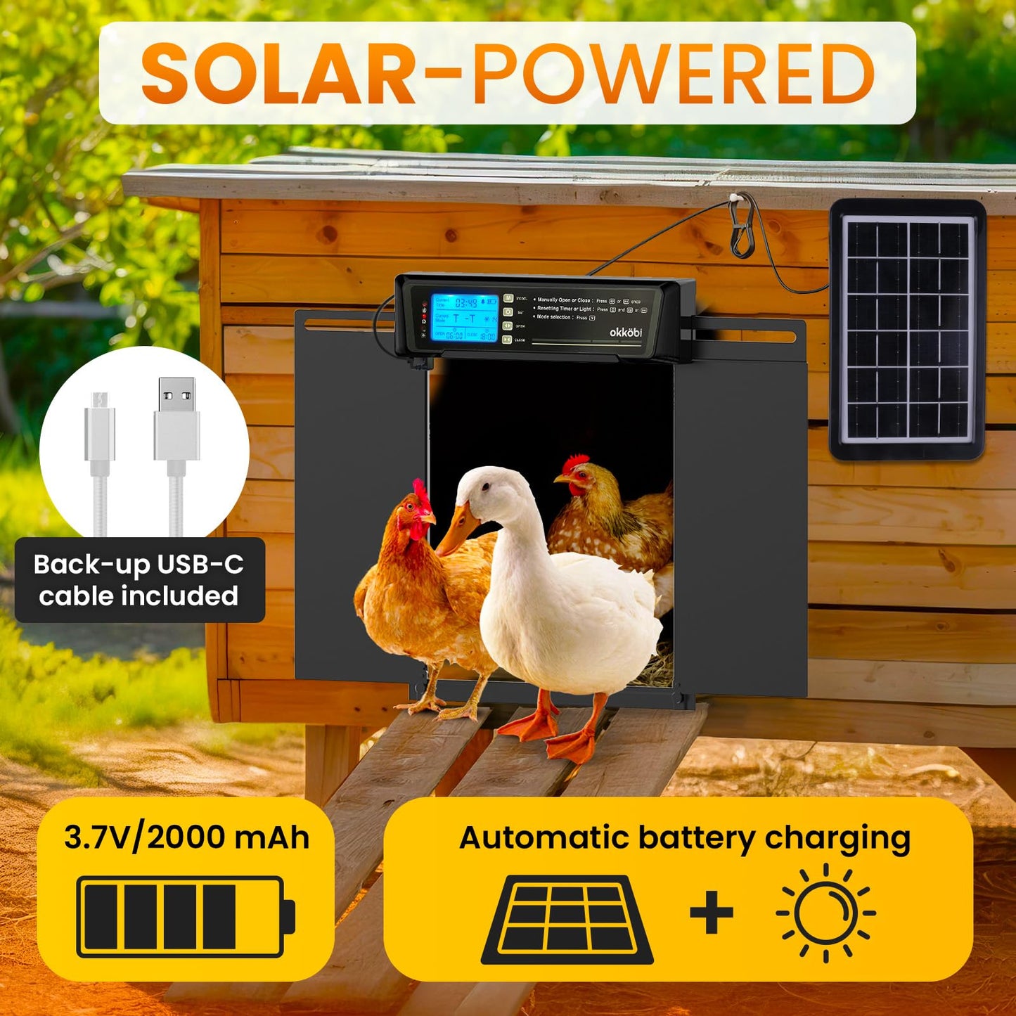 Extra Large Automatic Chicken Coop Door Solar Powered with Remote - LCD Display, Light Sensor, Timer & Anti-Pinch Function – 11.3" x 8.7" Door Opening – 5-Year Protection – Black – by Okköbi
