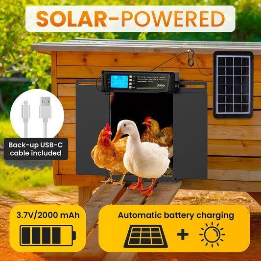 Extra Large Automatic Chicken Coop Door Solar Powered with Remote - LCD Display, Light Sensor, Timer & Anti-Pinch Function – 11.3" x 8.7" Door Opening – 5-Year Protection – Black – by Okköbi