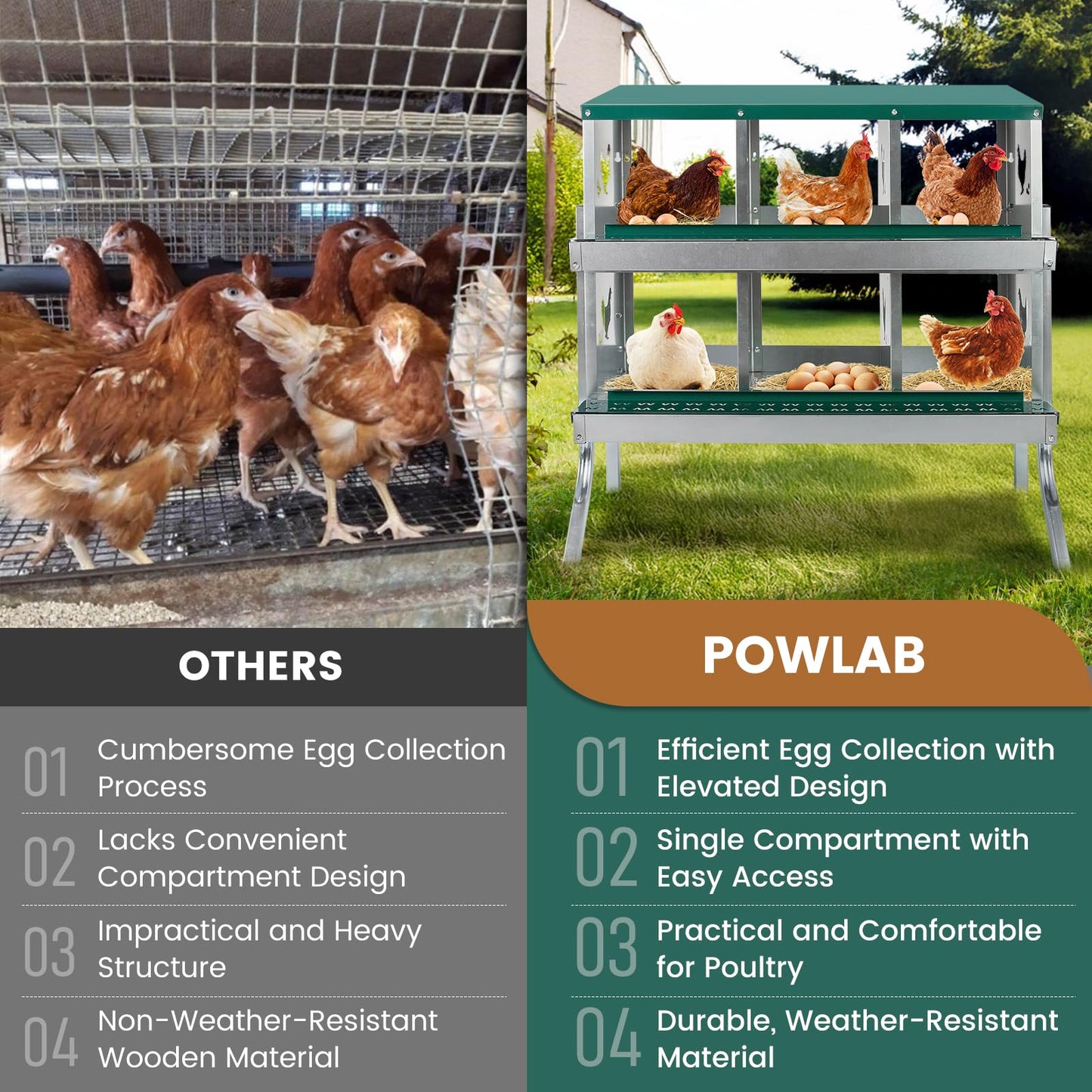 POWLAB 6 Compartment Chicken Nesting Box with Elevated Metal Legs - Heavy Duty Roll Away Egg Collection, Secure Lid & Perch - Versatile Wall Mount or Free Standing Design for Chickens, Hens, Ducks