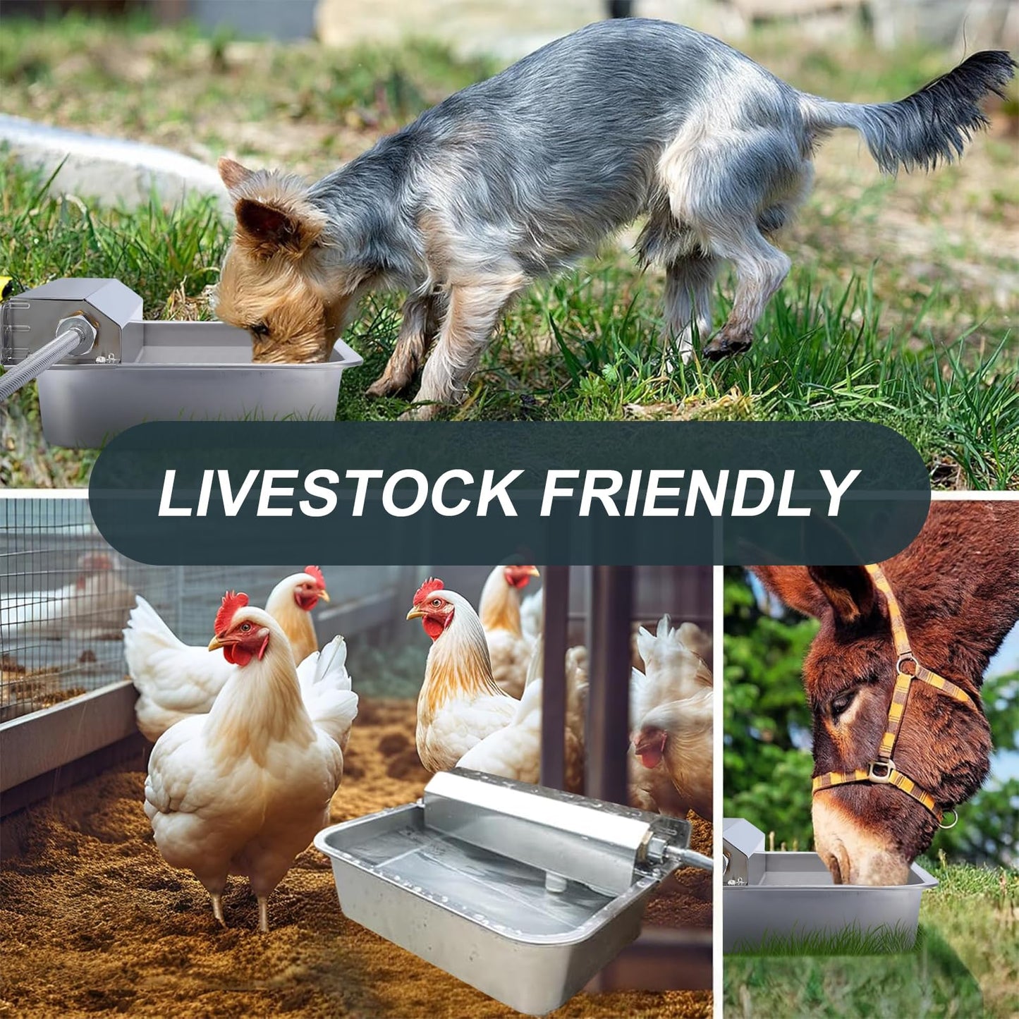 SUPERPAWS Automatic Chicken Water Dispenser Large 304 Stainless Steel Duck Waterer Outdoor Heavy-Duty Self Refilling Watering System with Installation Accessories Cleaning Brush